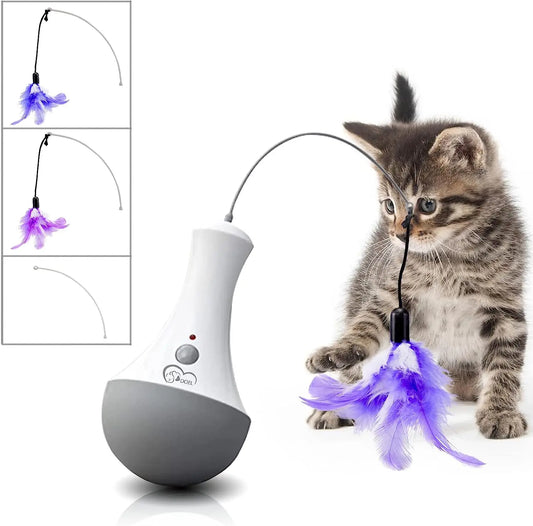 Cat Interactive Toys