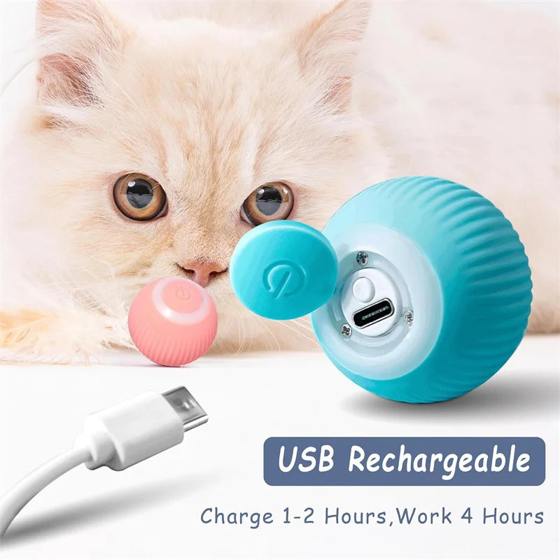 Smart Dog/Cat Toy