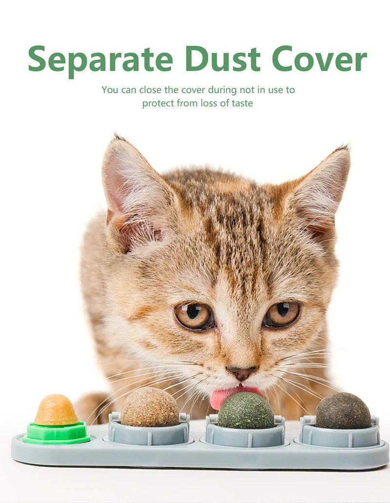 Natural Catnip Toys