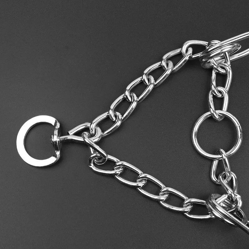 Pinch Dog Training Collar