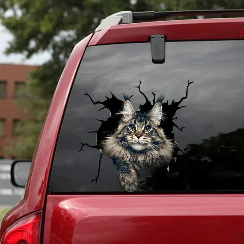 Maine Coon Cat Decal