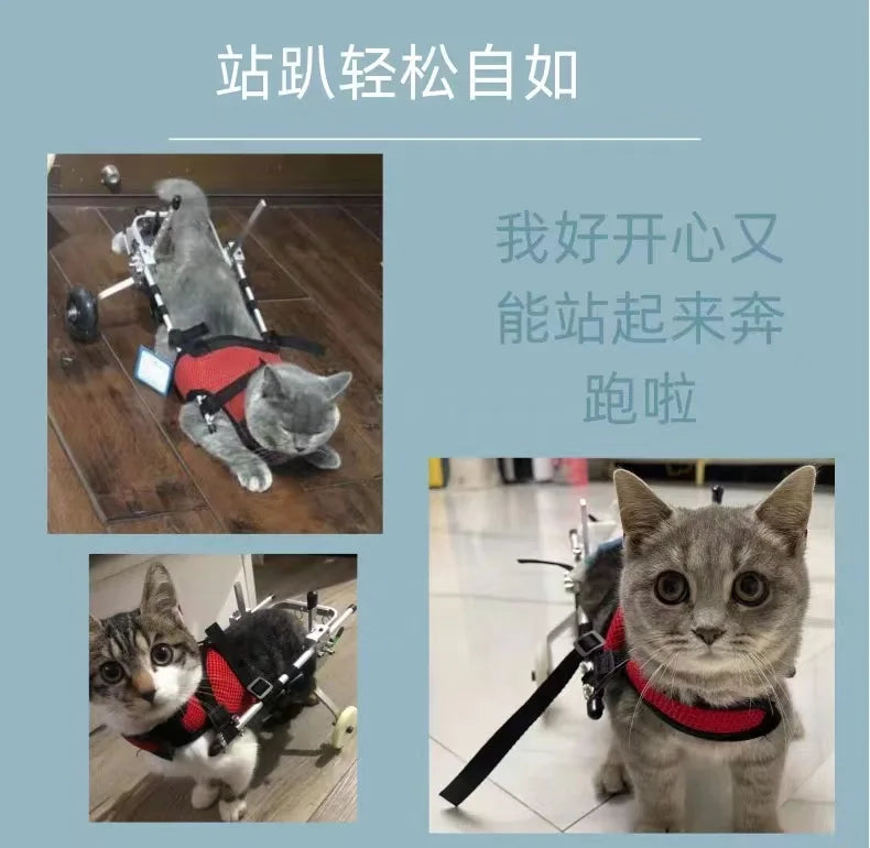 Cat Wheelchair