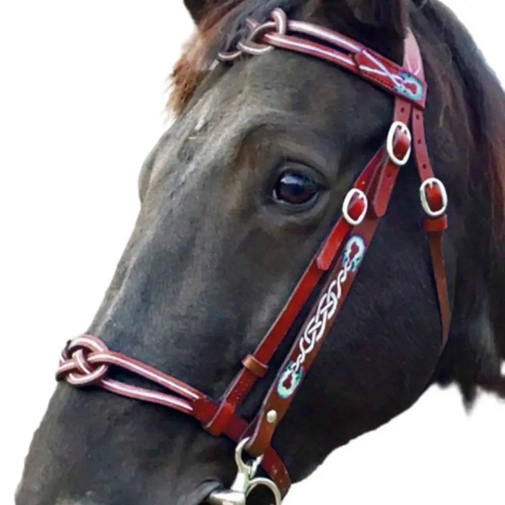 Leather Horses Bridle Halters Metal Buckle
