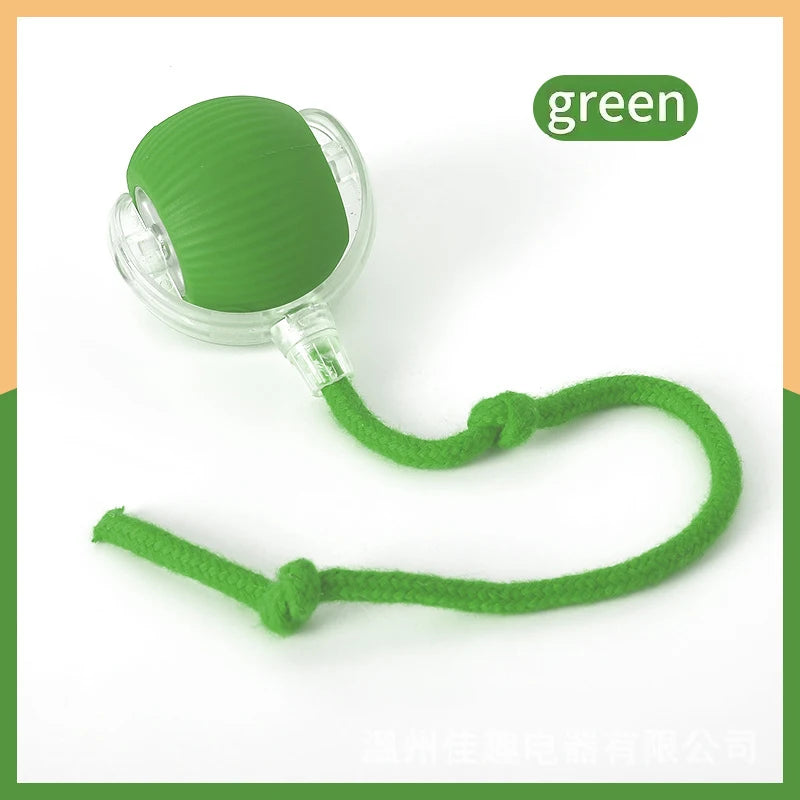 Smart Dog/Cat Toy