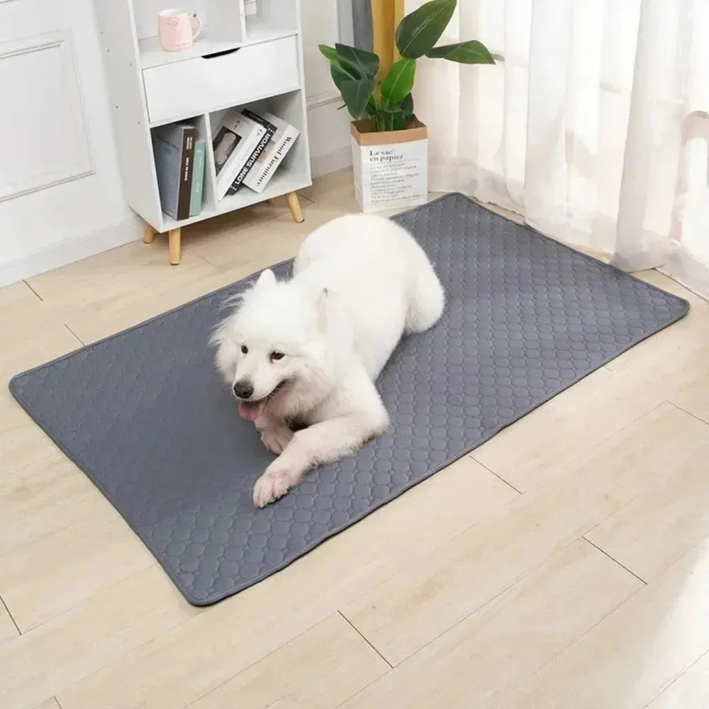 Reusable Dog Pee Pad Blanket