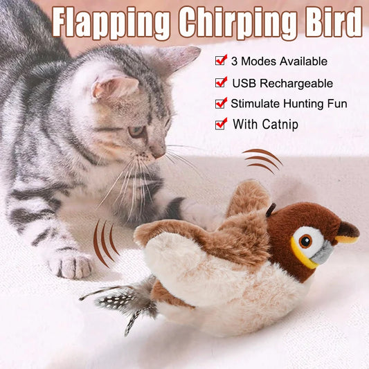 Interactive Cat Toys
