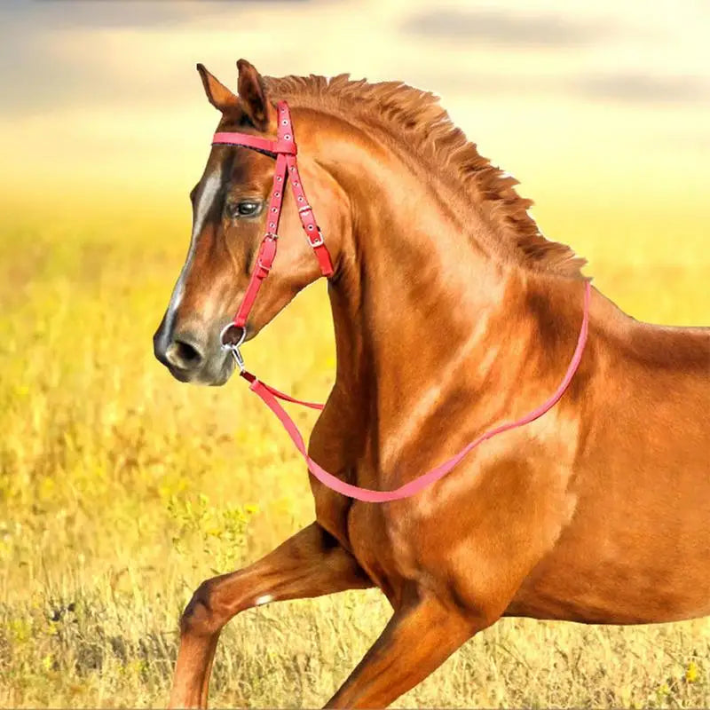 Horse Bridle Adjustable
