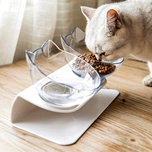 New Cat feeder