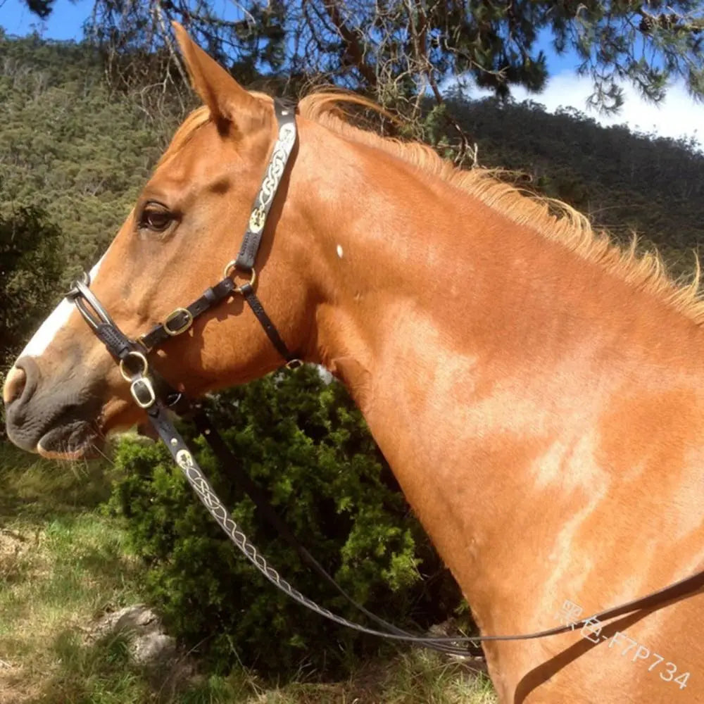 Leather Horses Bridle Halters Metal Buckle