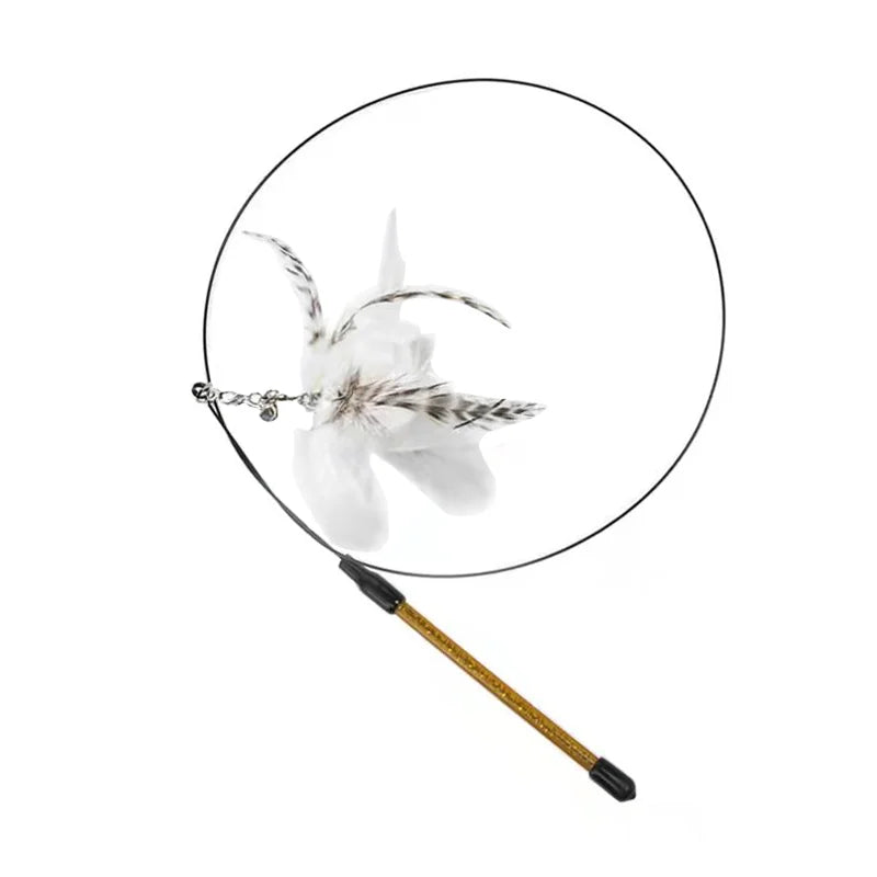 Simulation Bird Interactive