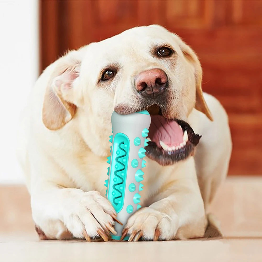 Large Dog Toothbrush