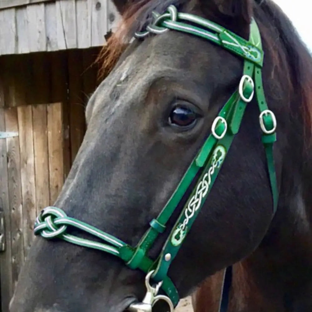 Leather Horses Bridle Halters Metal Buckle