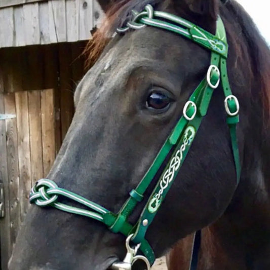 Leather Horses Bridle Halters Metal Buckle