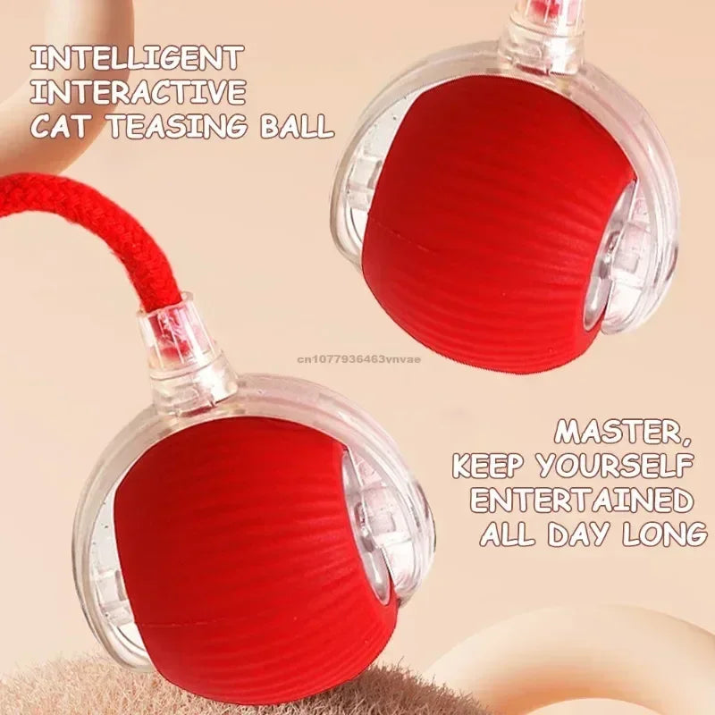 Cat/Dog Interactive Ball Toy Automatic