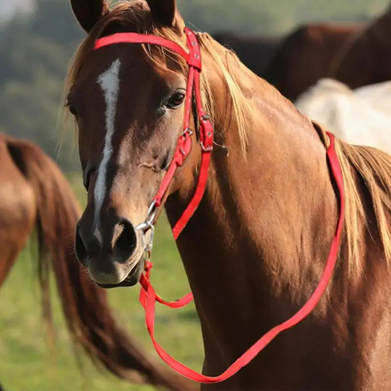 Horse Bridle Adjustable