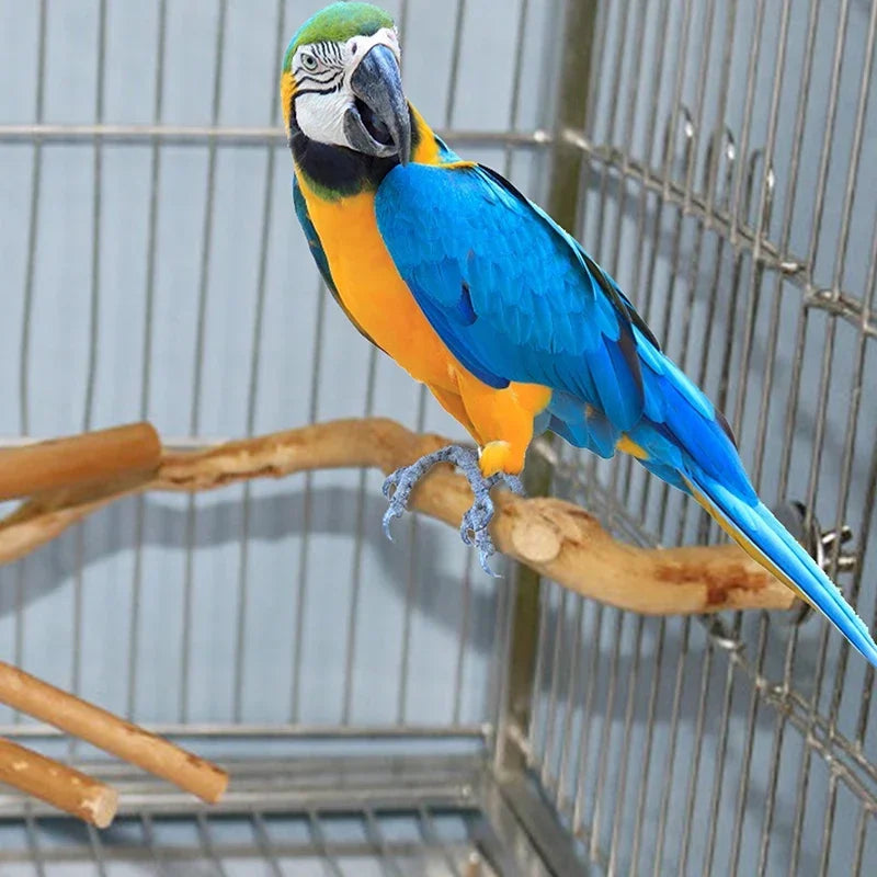 Standing Stick Wild Grape Wood for Parrot