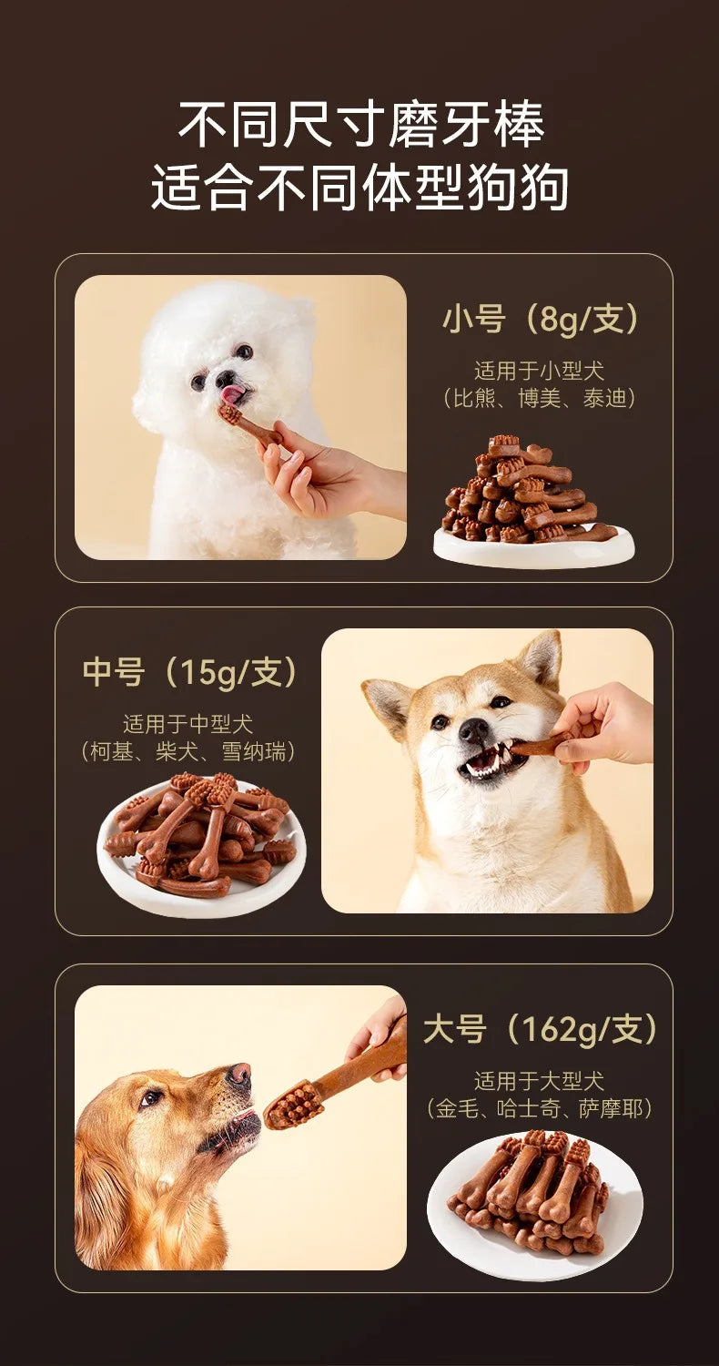 Dog Snacks