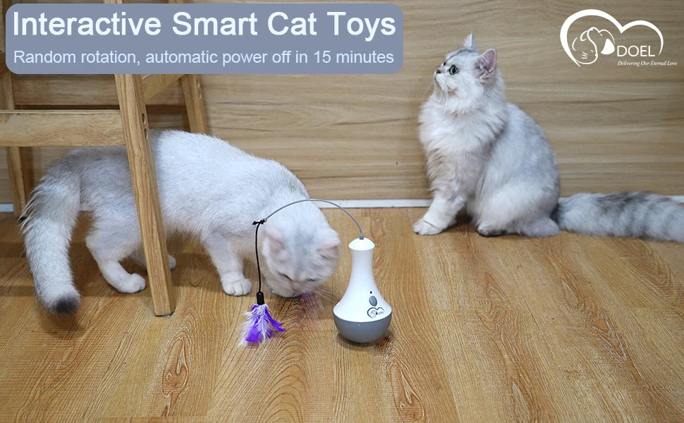 Cat Interactive Toys