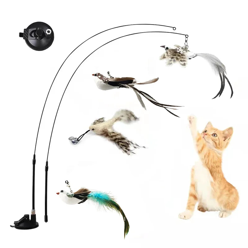 Simulation Bird Interactive