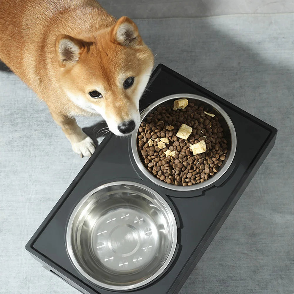 Raised Pet Bowls