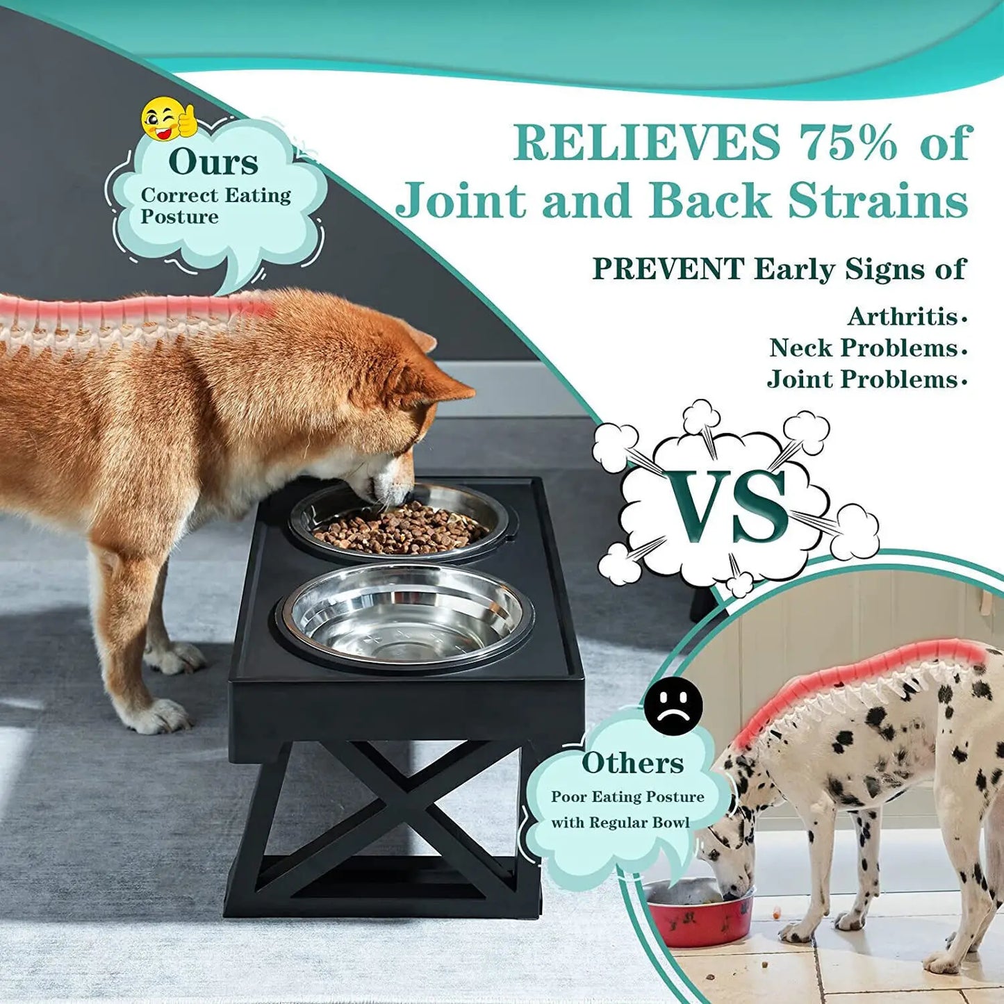Raised Pet Bowls