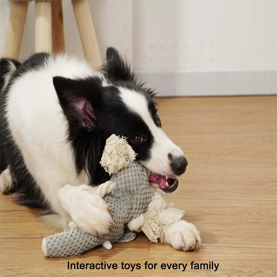 Large Dog Toy