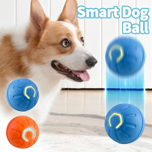 Smart Toy Ball