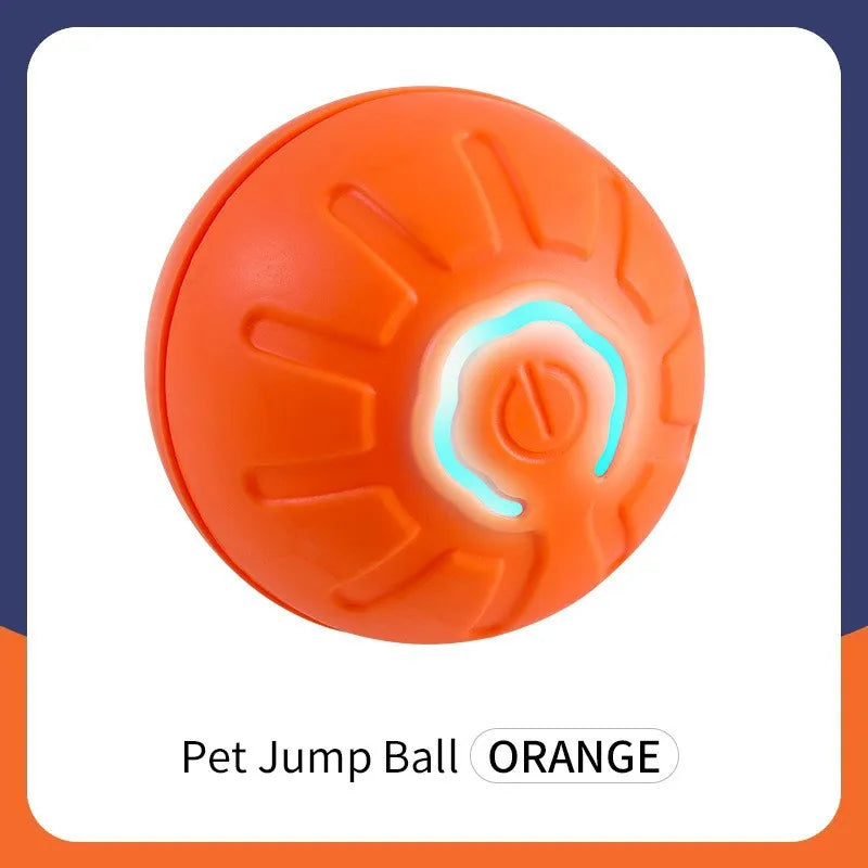 Smart Dog/Cat Toy