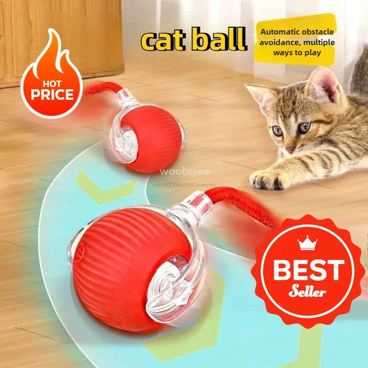Cat/Dog Interactive Ball Toy Automatic