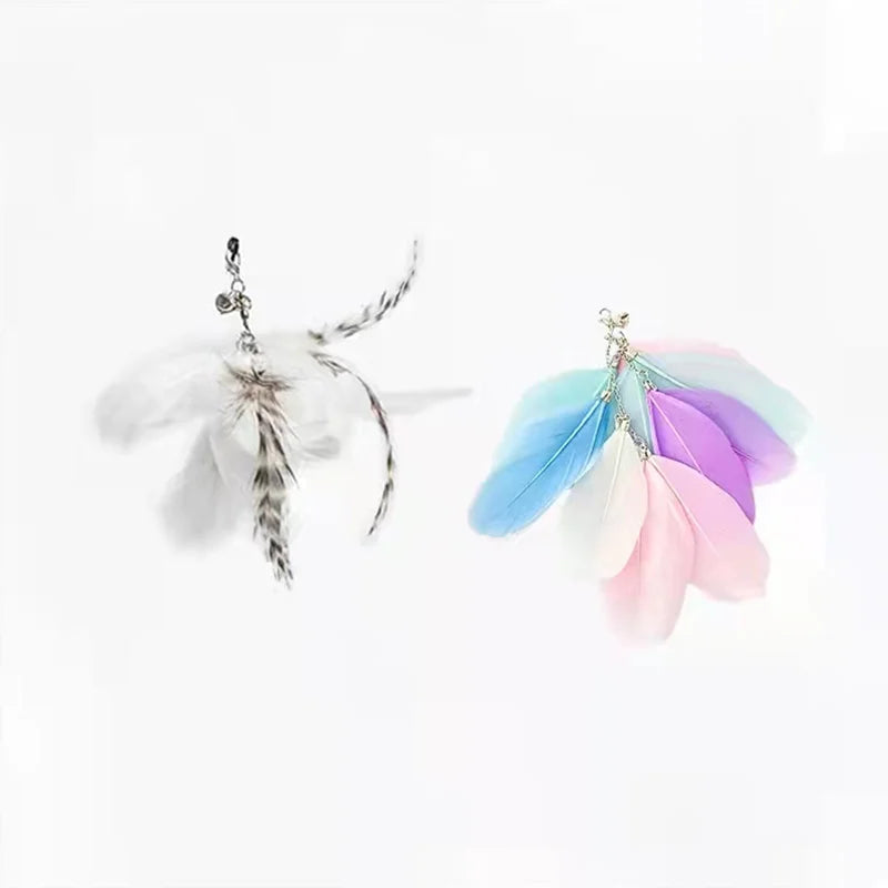 Simulation Bird Interactive