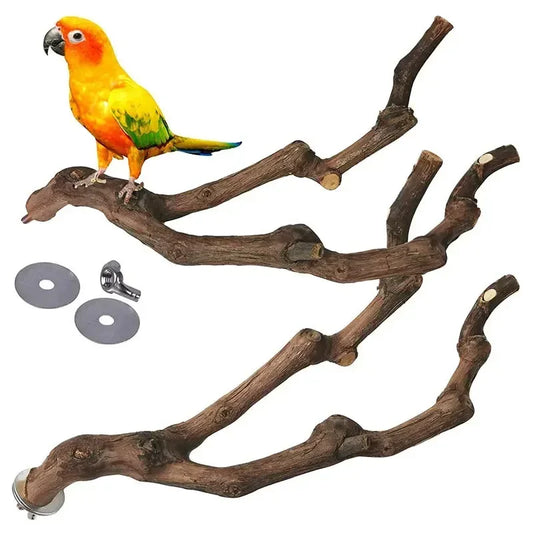 Standing Stick Wild Grape Wood for Parrot