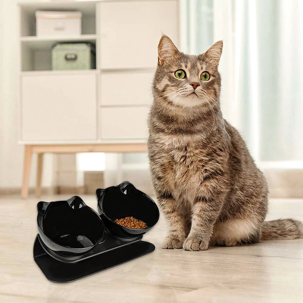New Cat feeder