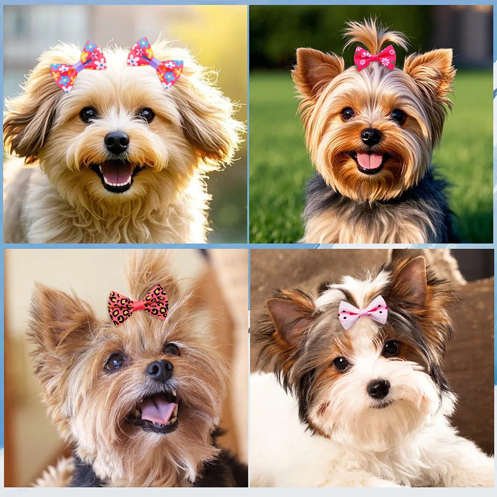 New Dog Bows With Alligator Clip