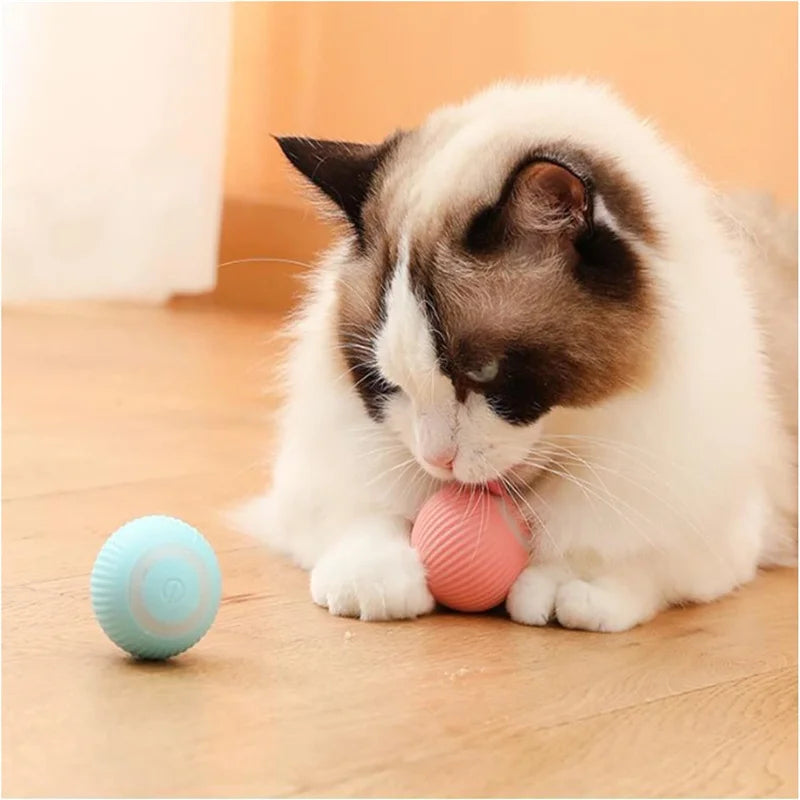 Smart Dog/Cat Toy