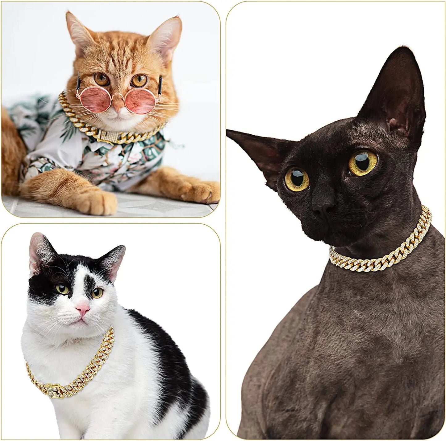 Luxury Gold Dog Chain