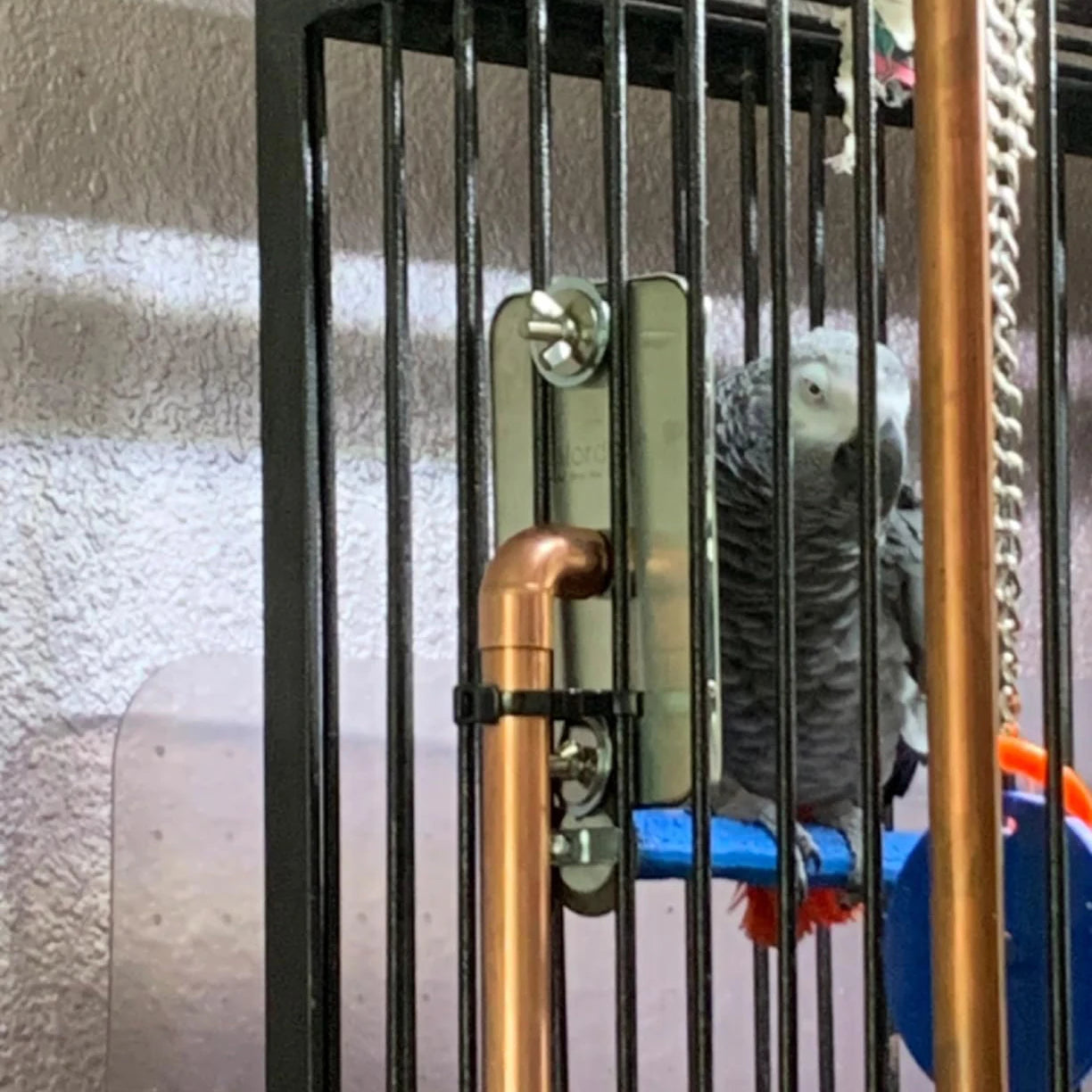Bird Warmer for Parrot