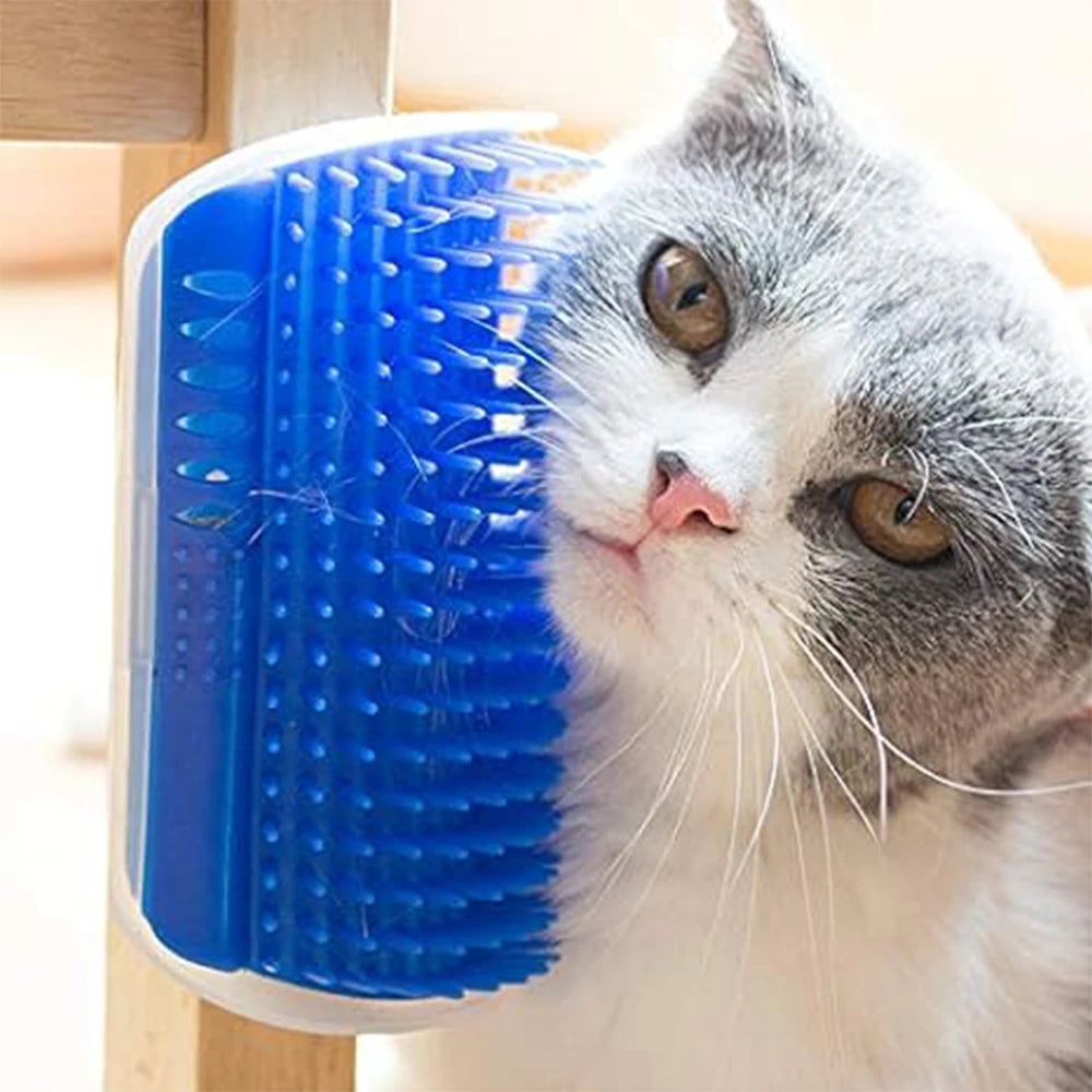 Cat Brush Toy with Catnip