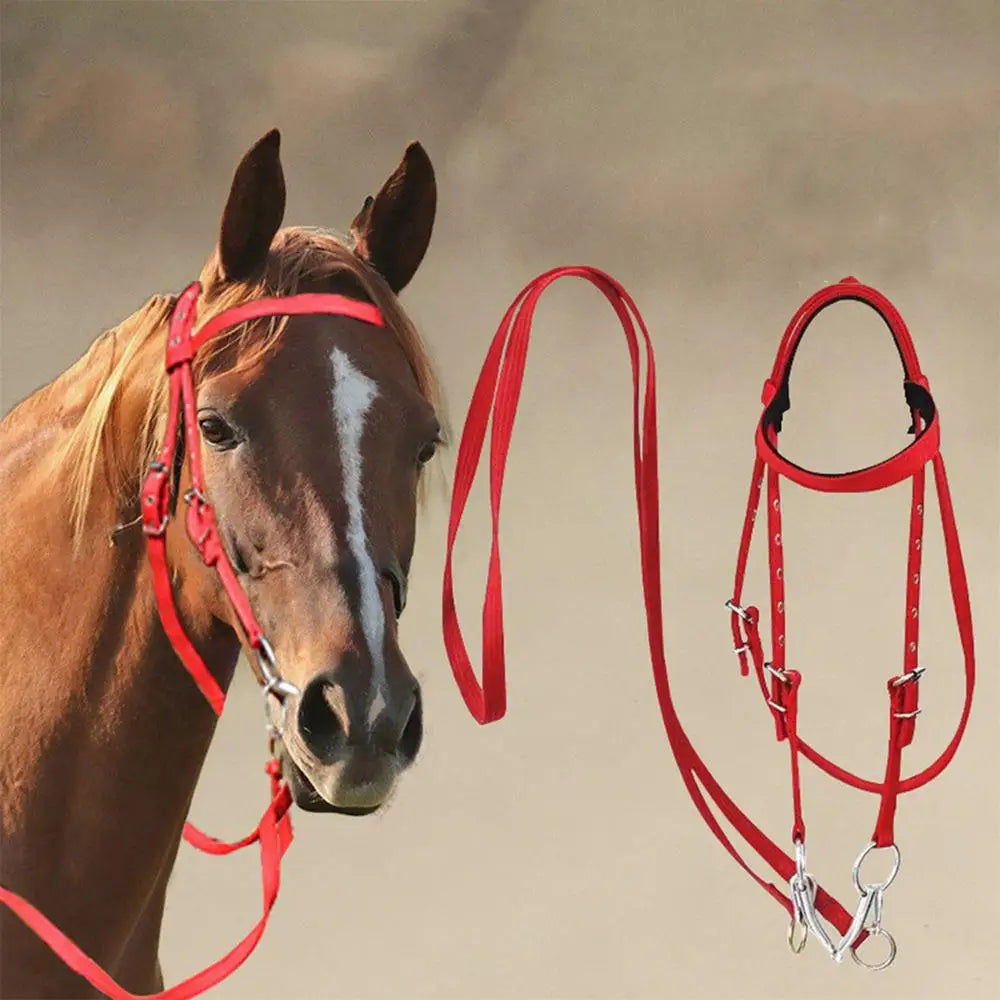 Horse Bridle Adjustable