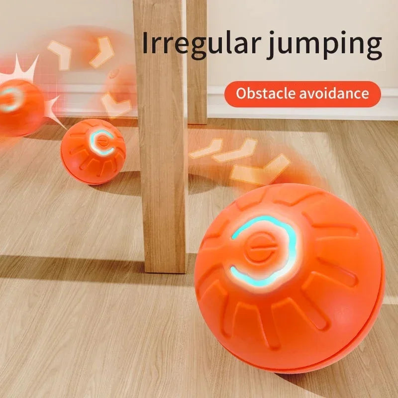 Smart Dog/Cat Toy