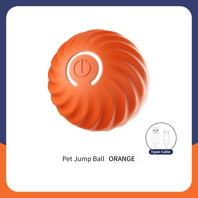 Smart Dog/Cat Toy