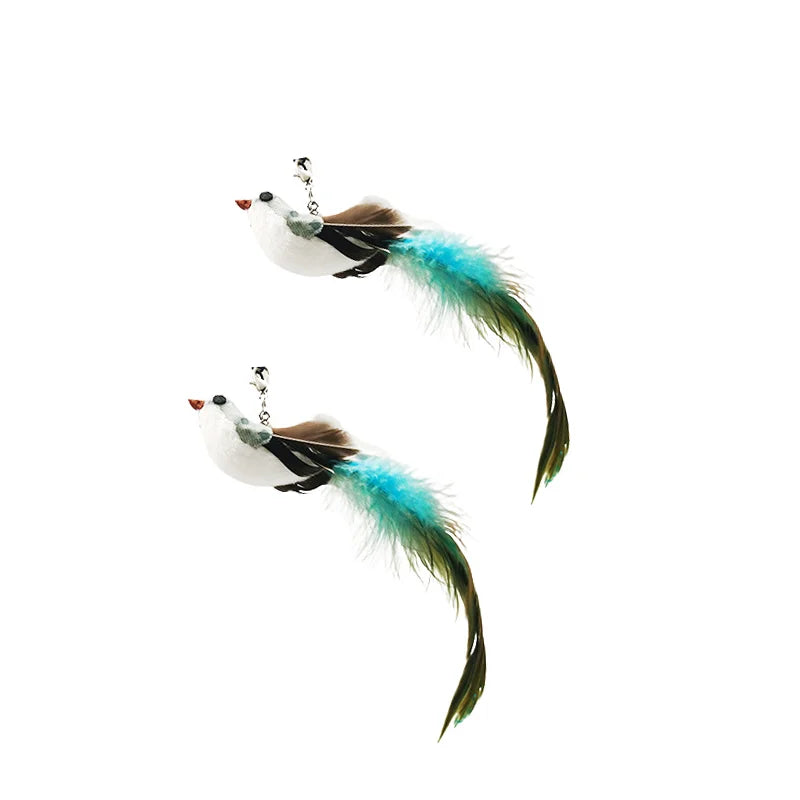 Simulation Bird Interactive
