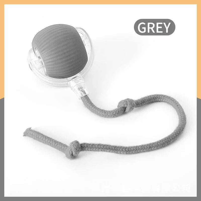 Smart Dog/Cat Toy