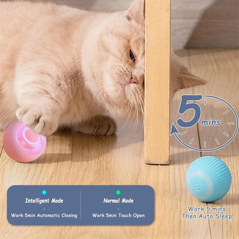Smart Dog/Cat Toy