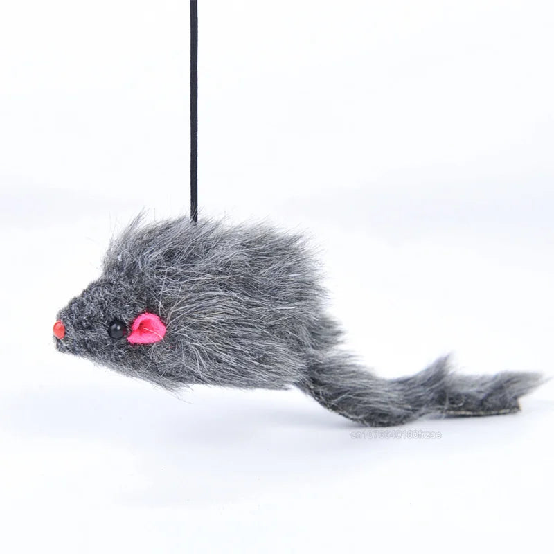 Interactive Cat Toy