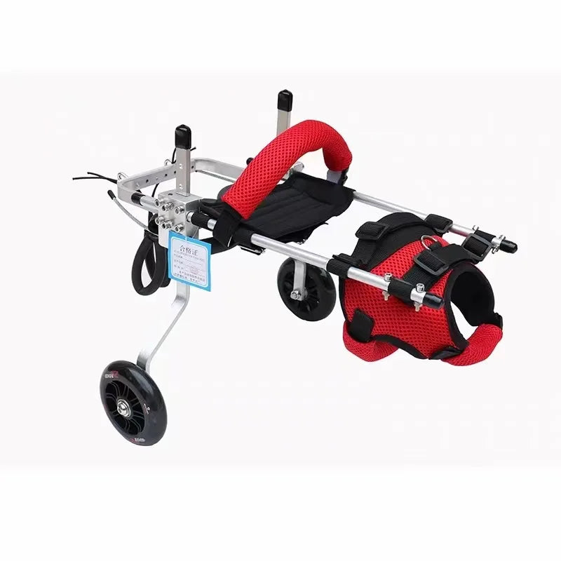 Cat Wheelchair