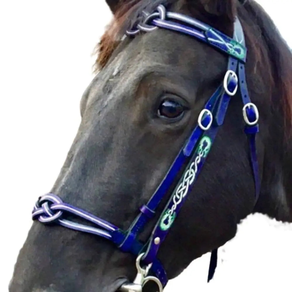 Leather Horses Bridle Halters Metal Buckle