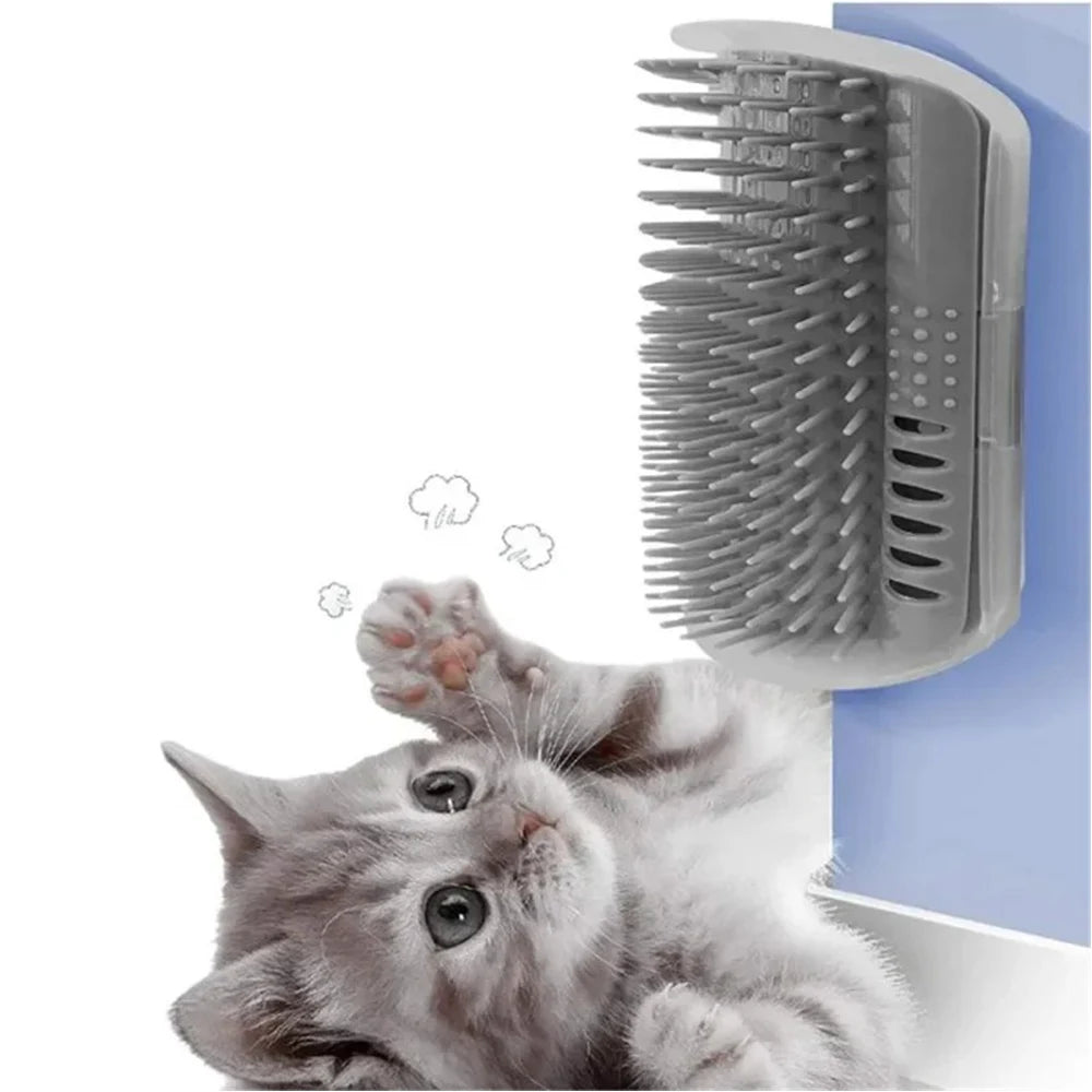 Cat Brush Toy with Catnip