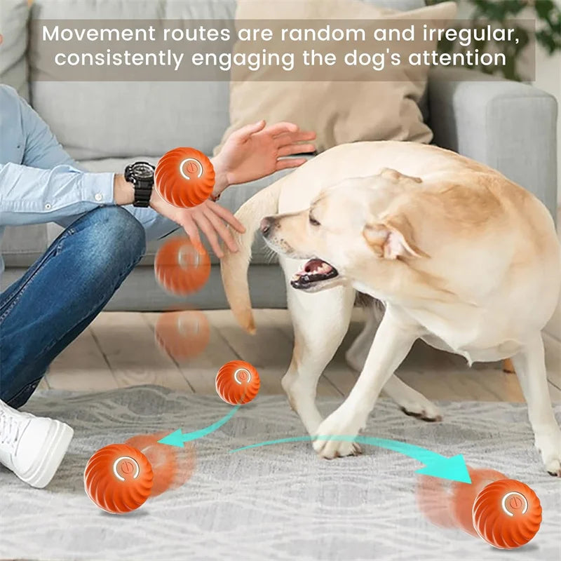 Smart Dog/Cat Toy