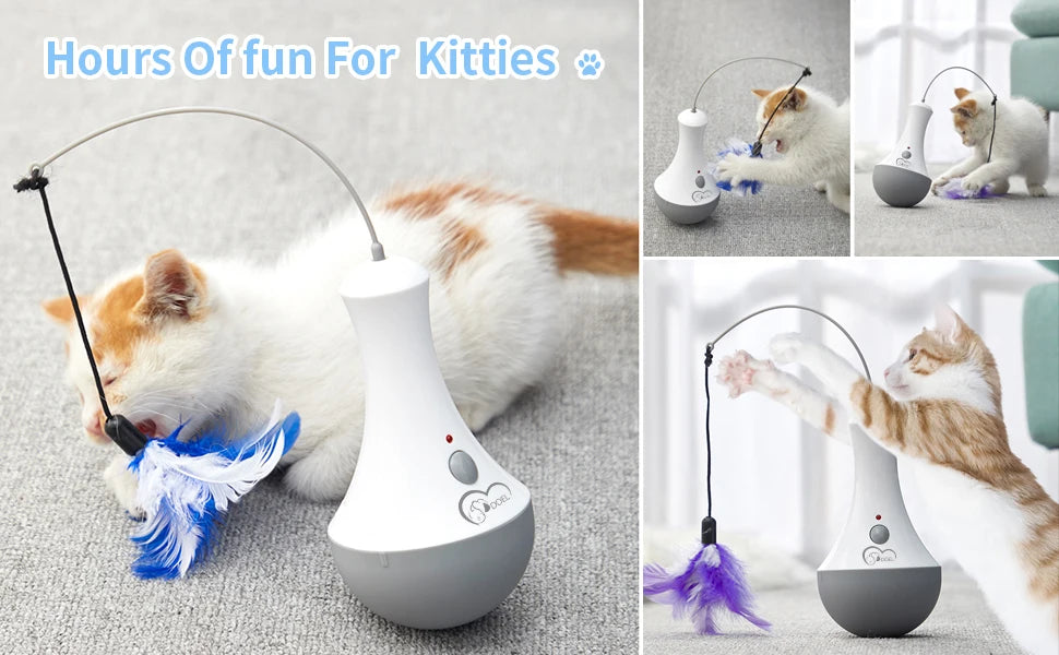 Cat Interactive Toys