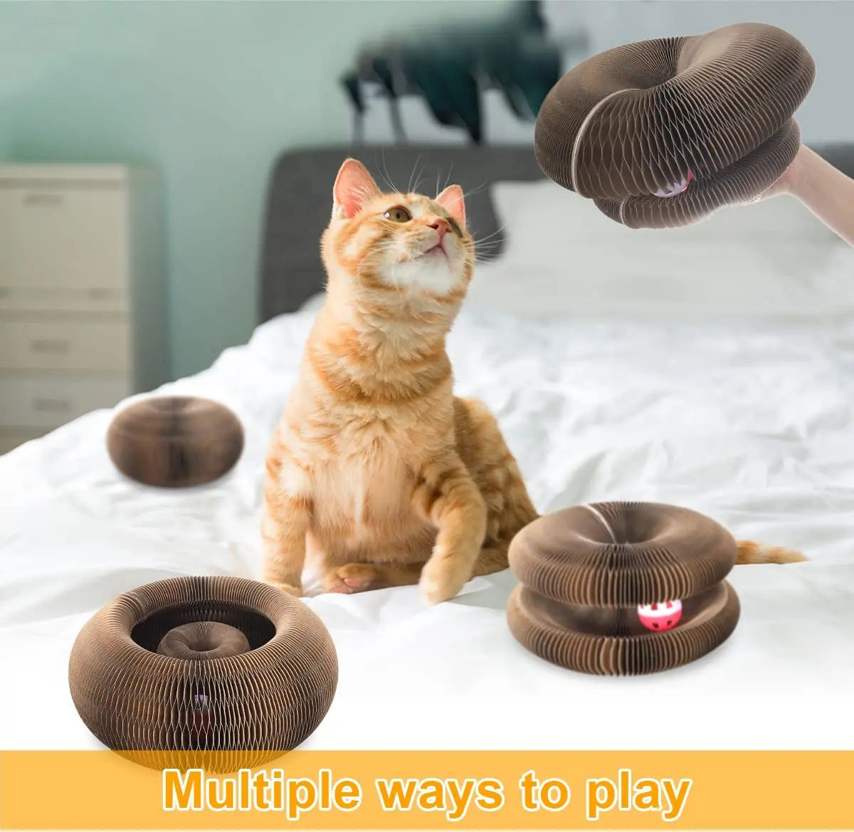 Magic Organ Cat Toy Cats Scratcher